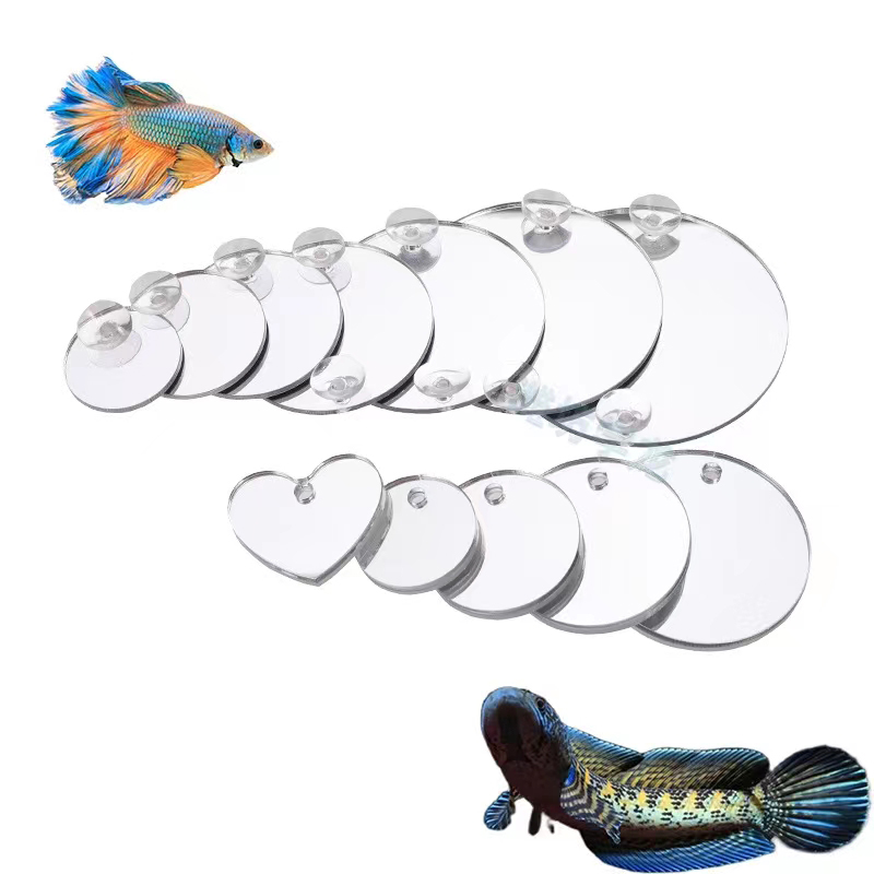 아쿠아리움 베타 미러 어항 물고기 베타 플라워혼 시클리 - Aquarium Fish Cichlid 리뷰 및 가격